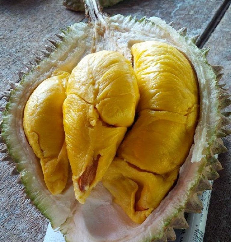 Daging Buah Durian Musang King