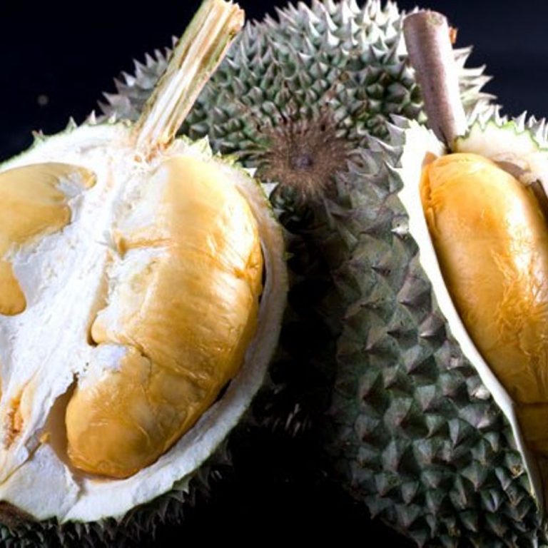 Daging Durian Duri Hitam