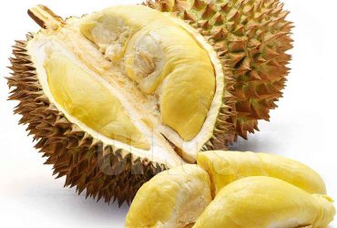 Jenis Durian – Mengenal Varietas Durian di Negara-negara Asia