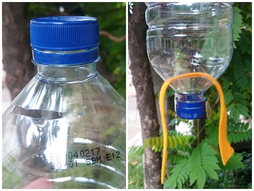 6 Langkah PRAKTIS Cara Menanam Hidroponik  Dengan Botol  