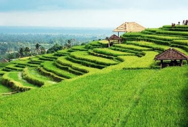 12 Destinasi Agrowisata Terbaik di Indonesia